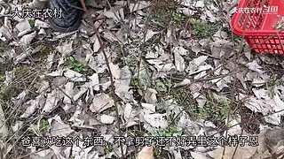 大慶在農(nóng)村的直播間