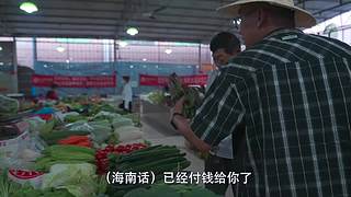 你的海南軍閥給你帶來最地道的趕海