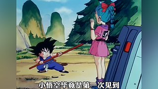 【櫻木花道灌籃】PP動漫精彩解說