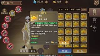 金叶子解锁一切