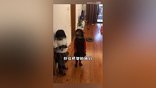 媽見打ovo的直播間
