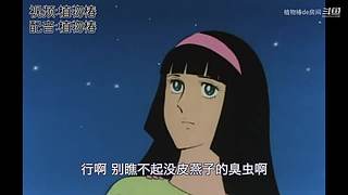 植物椿de房間的直播間