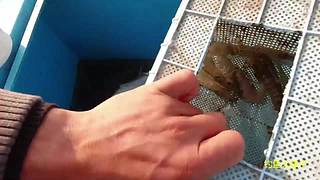 感谢钓友关注，每天分享鱼乐