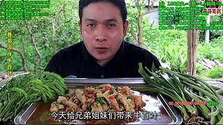 皮弄终于又回来了，更新了几个视频
