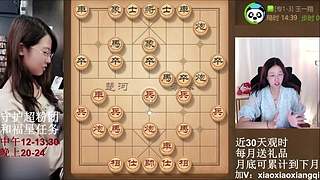 中午晚上播两场