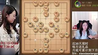 中午晚上播两场