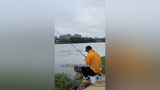 亮gnailux的直播间