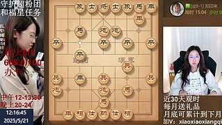 中午晚上播两场