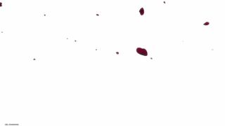 体验多人合作打通副本乐趣