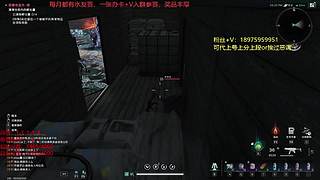 雀雀雀，雀跃起来把