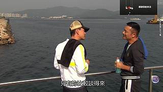 ❤️剧集❤️幸福欢乐地