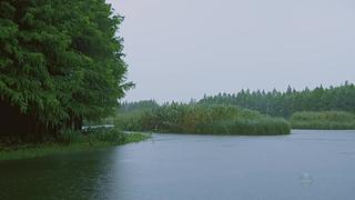 大自然的声音 治愈风景 帮助睡眠