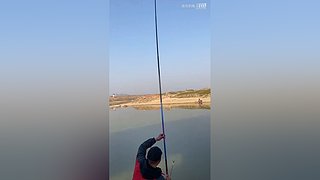 亮gnailux的直播间