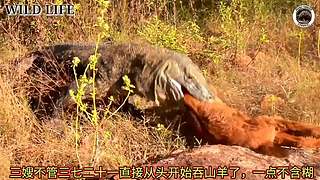 带你了解你不知道知识