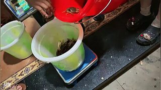欢迎来到88890直播间~