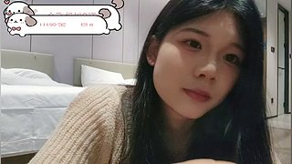 985猫鼠游戏