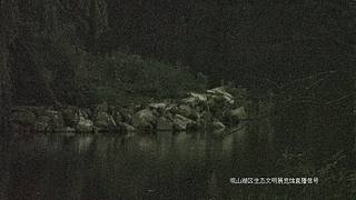 在线观鸟··