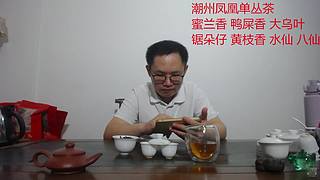 潮州凤凰单丛茶