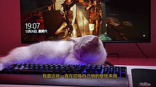 科技娱乐武器娘