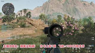 飞机1000万纯币~
