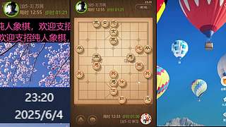 纯人象棋，请多多支持