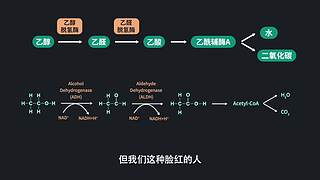 【毕导】数理化狂热爱好者