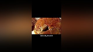 把大脑切成两半会怎样？有趣的裂脑实验