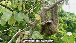 王生怪谈奇闻怪事