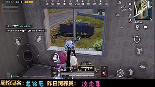 你与星光，同样浪漫 11050350