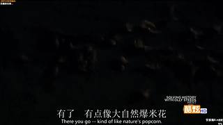 【贝爷】统治食物链顶端的男人~回来啦~！