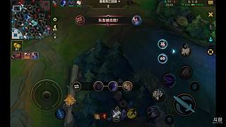是真的菜，不是假的