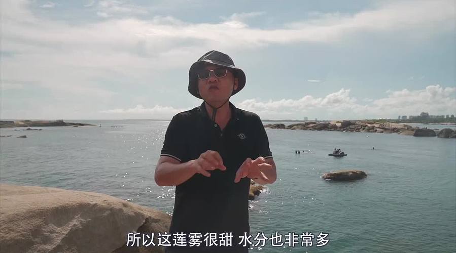 你的海南军阀给你带来最地道的赶海