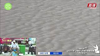 2025年全国钓鱼锦标赛（天津宝坻站）
