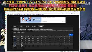 挑号估号斗鸡日常全面配置