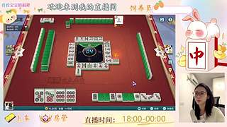 重生之菜鸟逆袭雀神之路