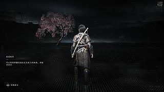 主机游戏.... 12532588