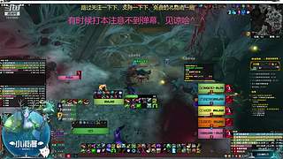 猛猛、萌萌