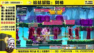 冒险岛回归导师