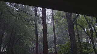 大自然的声音 治愈风景 帮助睡眠