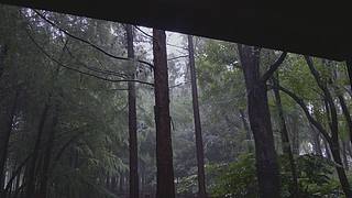 大自然的声音 治愈风景 帮助睡眠
