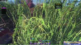0.3打0-1300武勋威望战场逆水寒