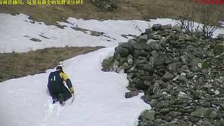 荒野求生，带大家体验不一样的生活