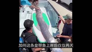 科学黑历史