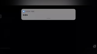 大伞：武斗