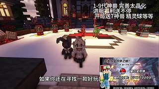 1-9代神兽 完善太晶化