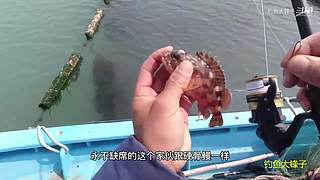 感谢钓友关注，每天分享鱼乐