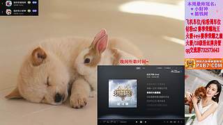♥ 排位/上分/通行证