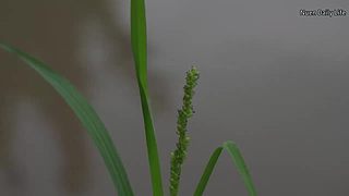 小姐姐带你玩转户外