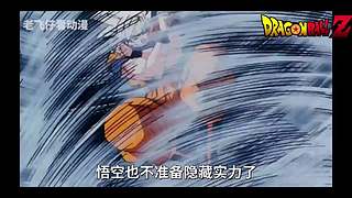 ☆卡卡罗特☆