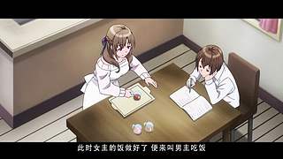 【月影轮播间】后宫番解说